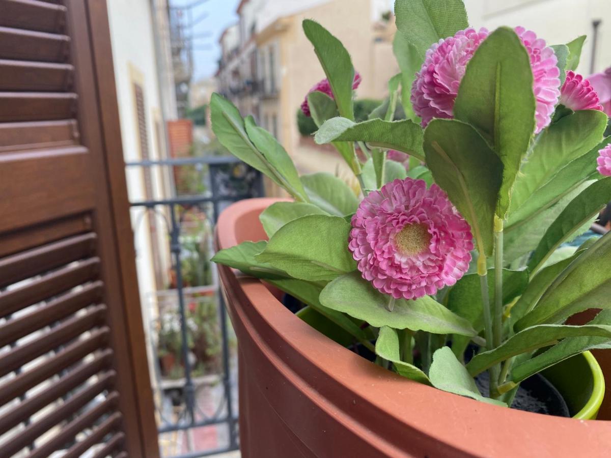 Casa Vetriera Apartment Palermo Ngoại thất bức ảnh
